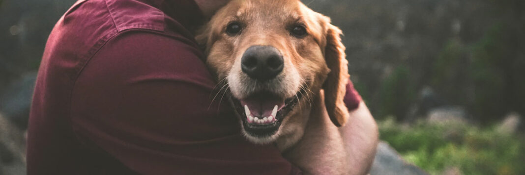 Hund wird von dem Herrchen gedrückt