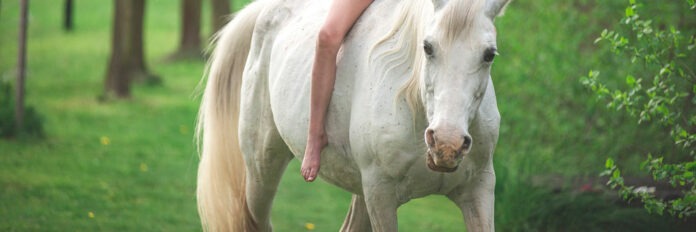Mädchen reitet ein Pferd
