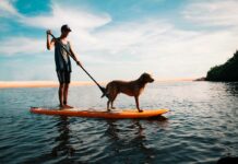 Herrchen fährt mit seinem Hund auf einem Stand up Paddeln auf dem See