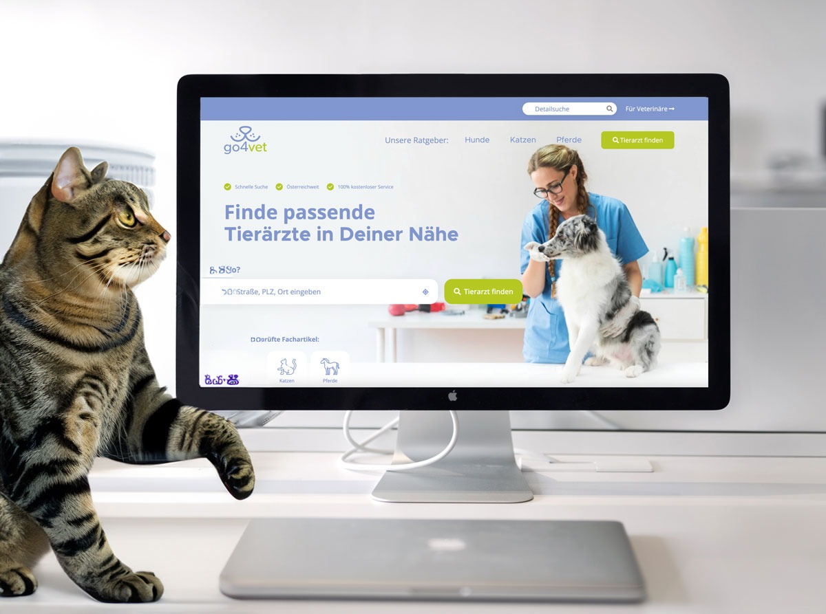 Katze sitzt vor einem PC Bildschirm auf dem eine Plattform für Tierarztsuche dargestellt ist