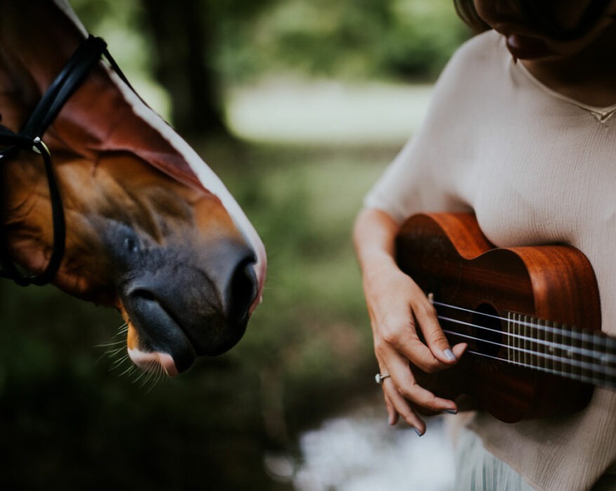Frau spielt ihrem Pferd sanfte Melodien auf der Gitarre vor