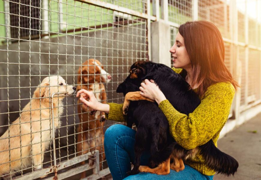 Frau sitzt mit ihrem Hund vor einem Käfig im Tierheim