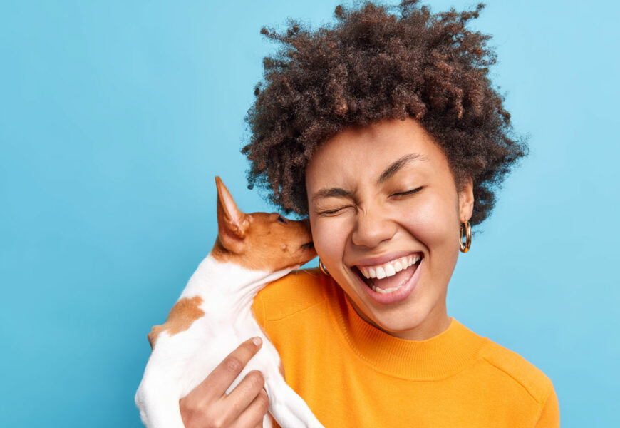 Kleiner Hund knabbert liebevoll am Ohr seiner Besitzerin