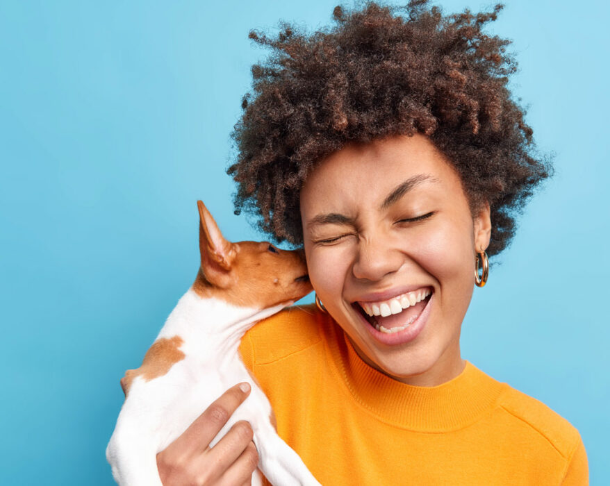 Kleiner Hund knabbert liebevoll am Ohr seiner Besitzerin