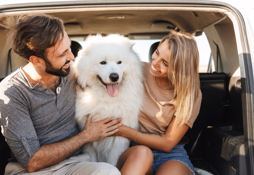 Junges Paar sitzt mit einem Samojeden Hund hinten im Kofferraum eines Autos