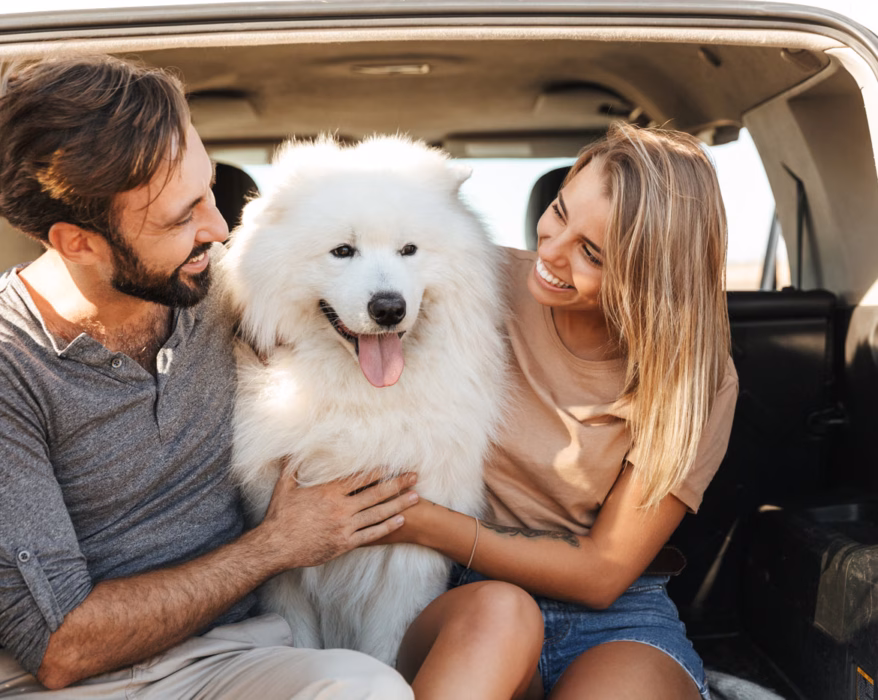 Junges Paar sitzt mit einem Samojeden Hund hinten im Kofferraum eines Autos