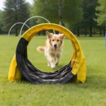 Hund macht Hoopers Hundesport